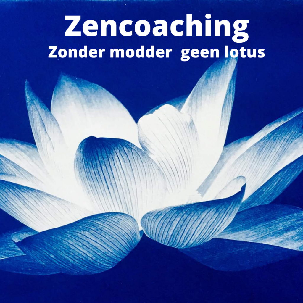 zencoaching