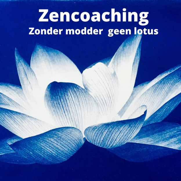 zen coaching