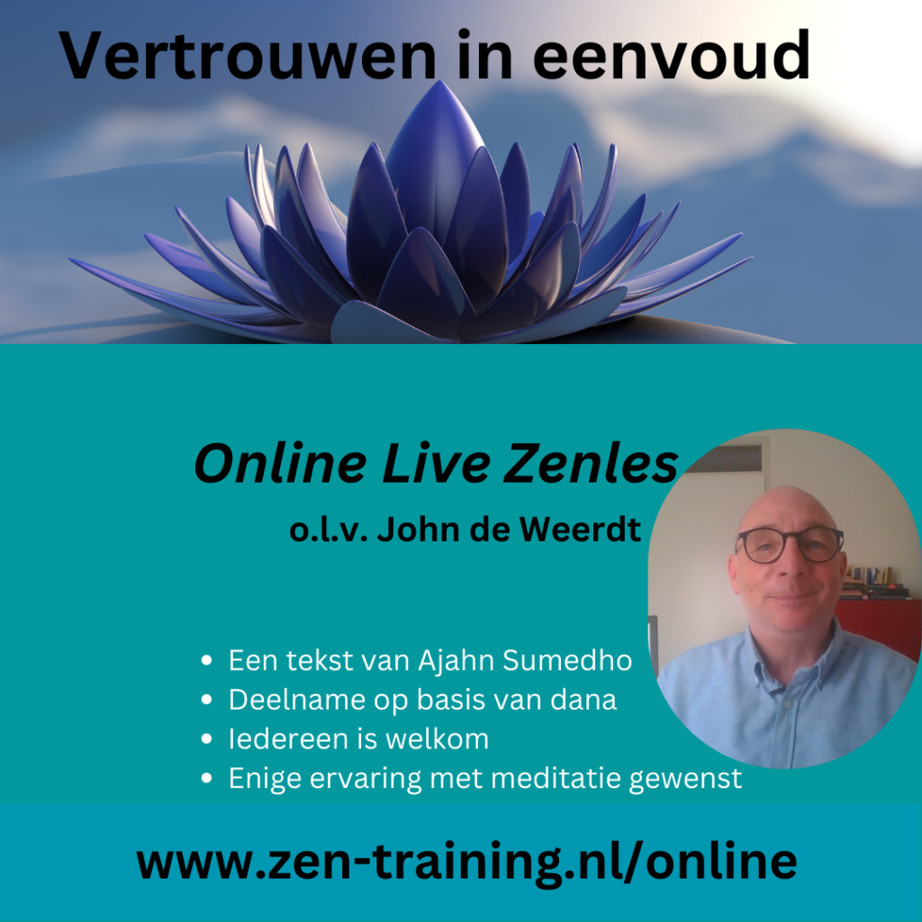 online mediteren 